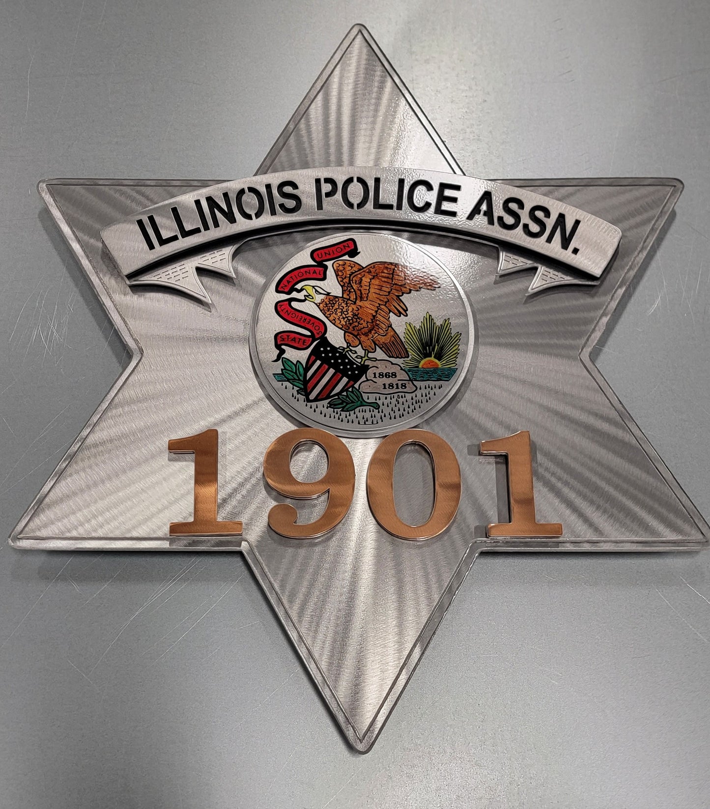 Illinois Police ASSN. Star