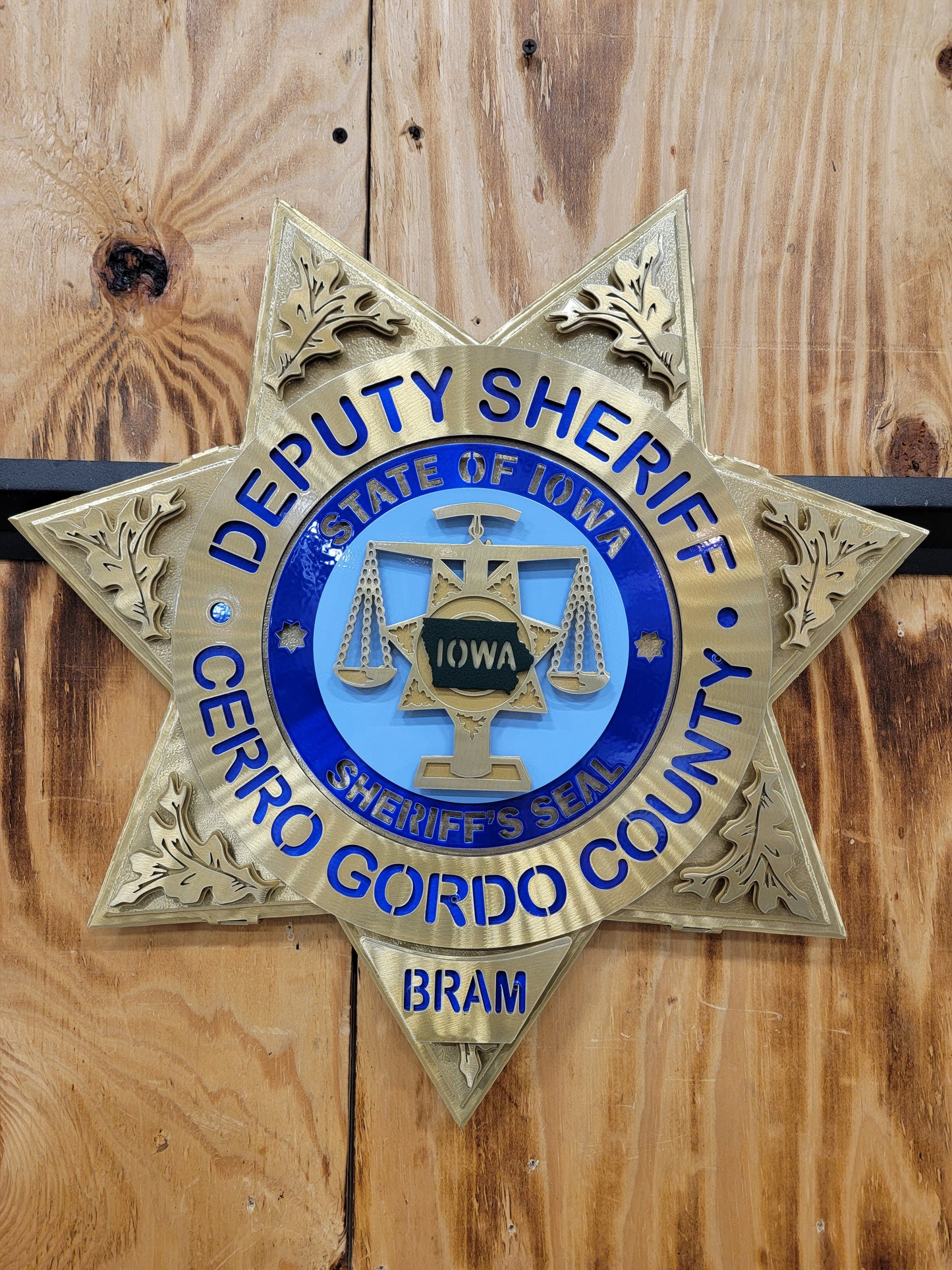 State Of Iowa Cerro Gordo County Deputy Sheriff Star
